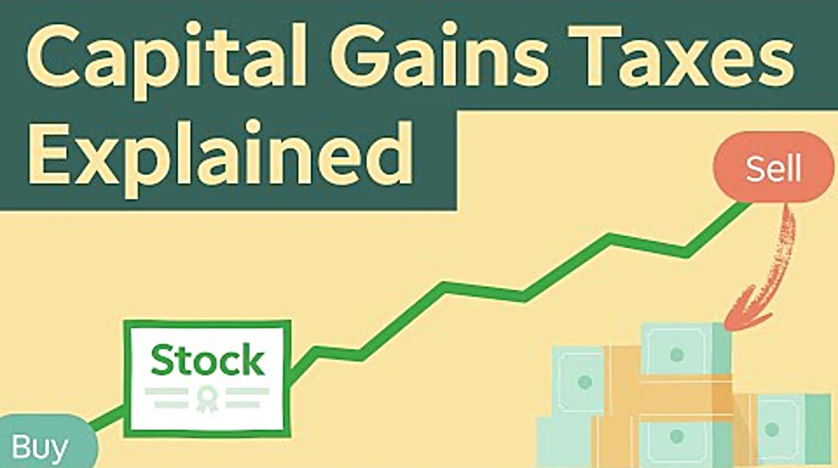 Short term capital gains LLC