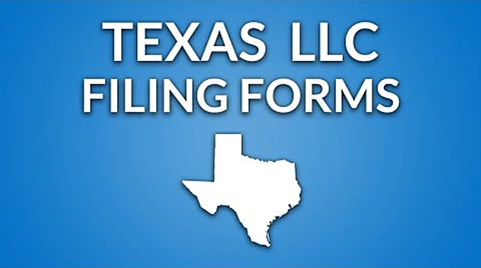 Texas LLC formation docs harleydavidson